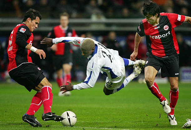 反馈系统将 反馈系统将