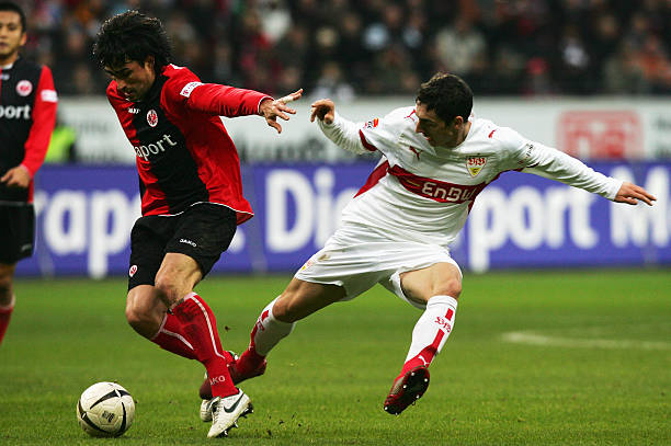 他重用葡萄 他重用葡萄